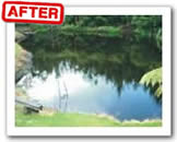 After Algae Removal after algae removal